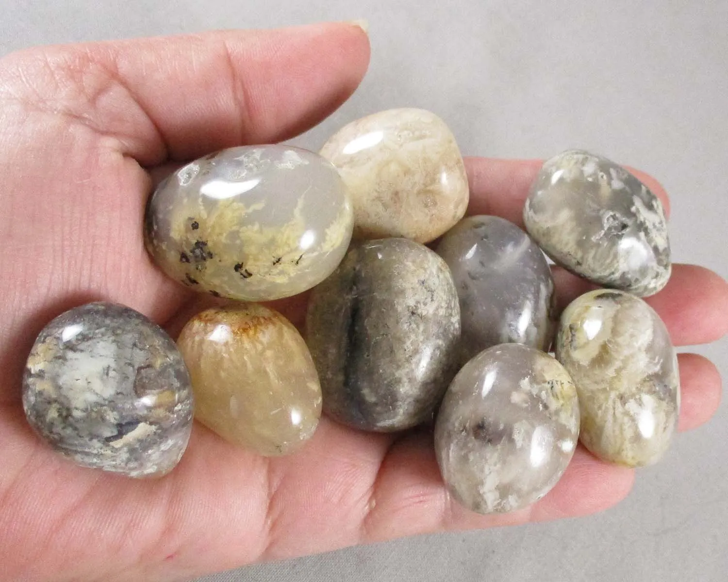 25% OFF!  Dendritic Agate Stone 1pc T074