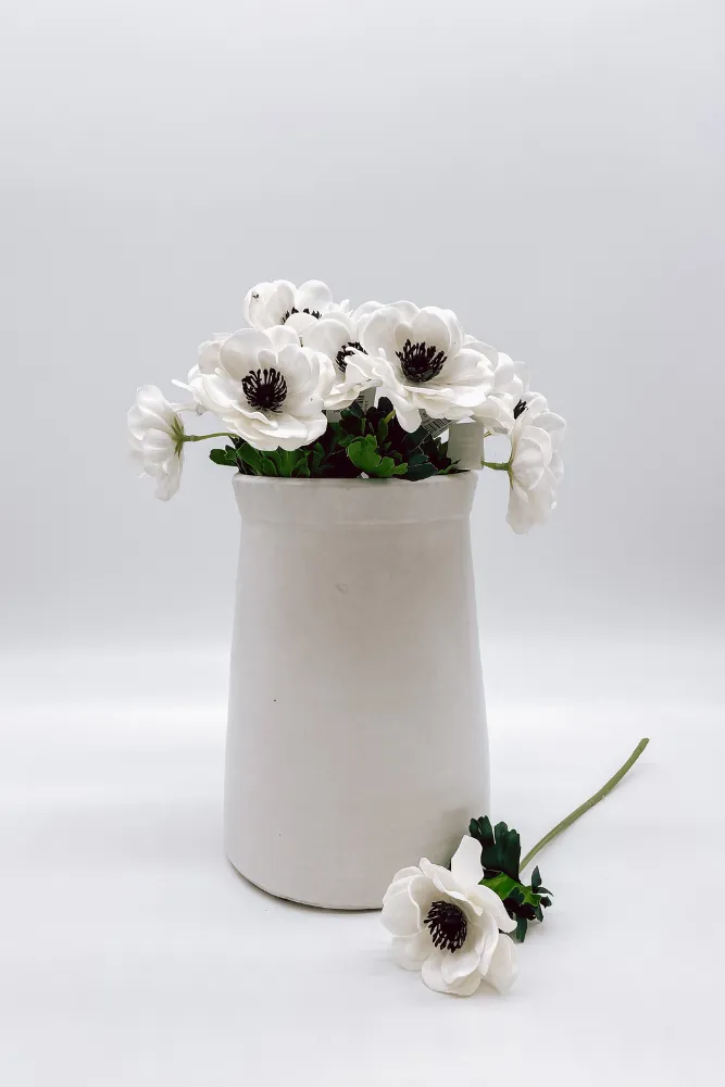 Anemone Spray