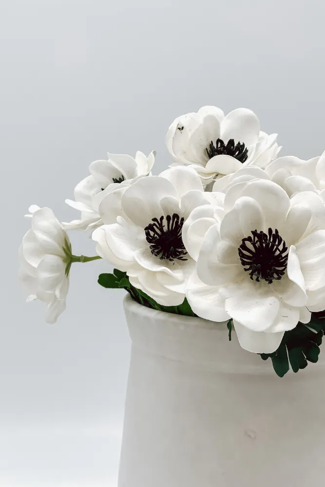 Anemone Spray