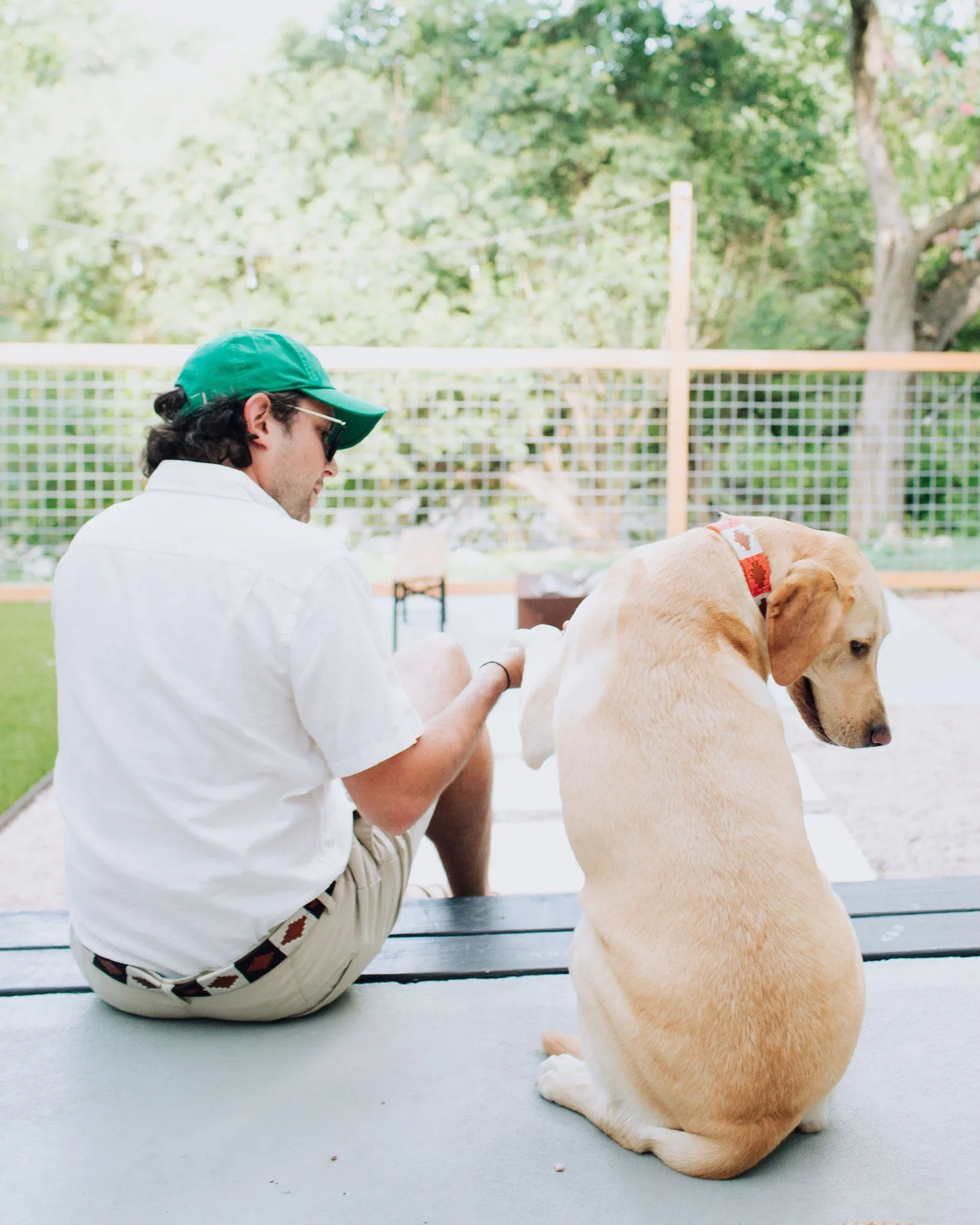 ATX Dog Collar