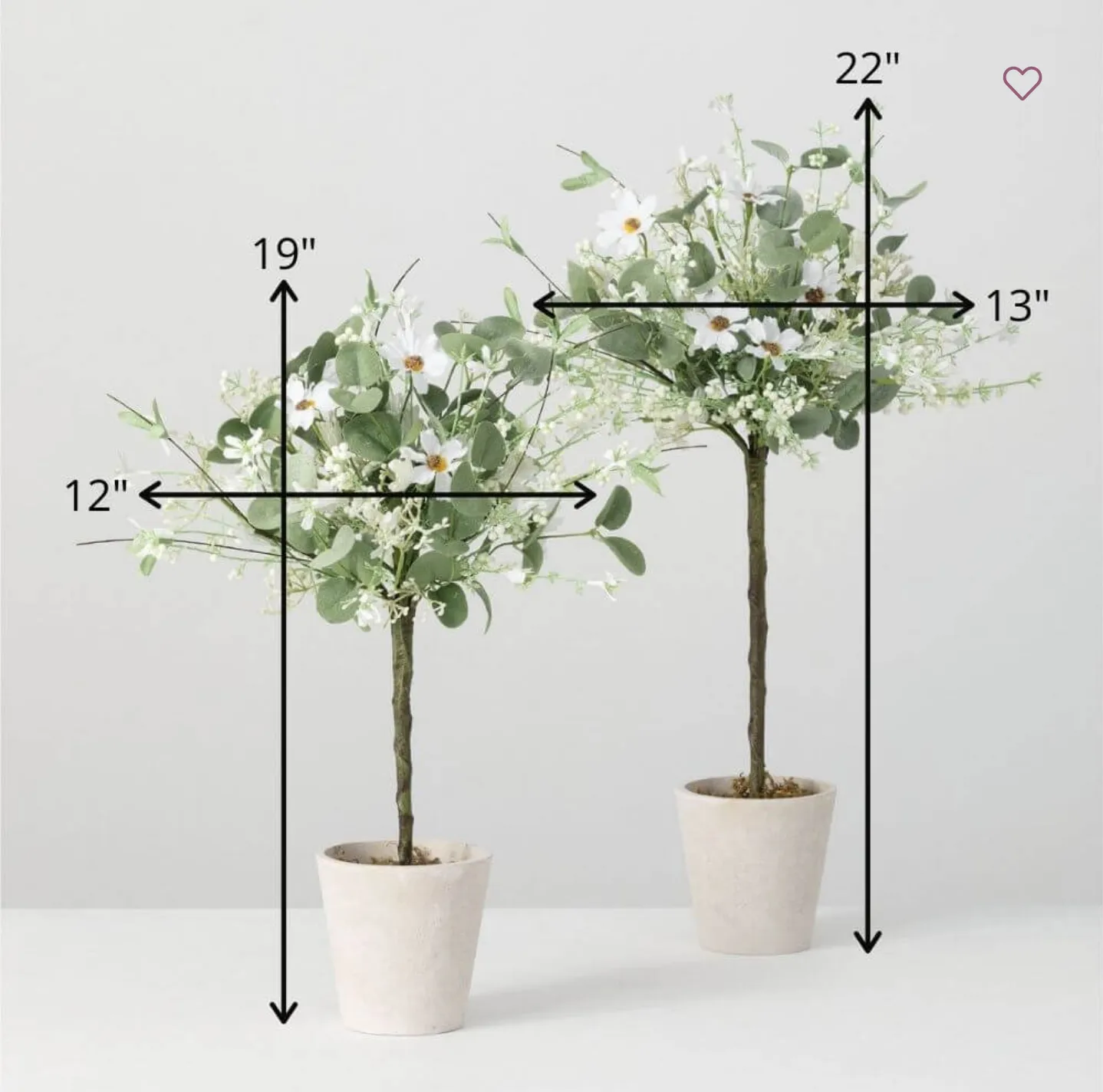 Daisy / Eucalyptus Topiary SM/LG