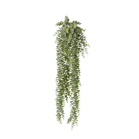 Eucalyptus Hanging Plant
