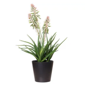 Faux Aloe Cooperi Plant - 51cm