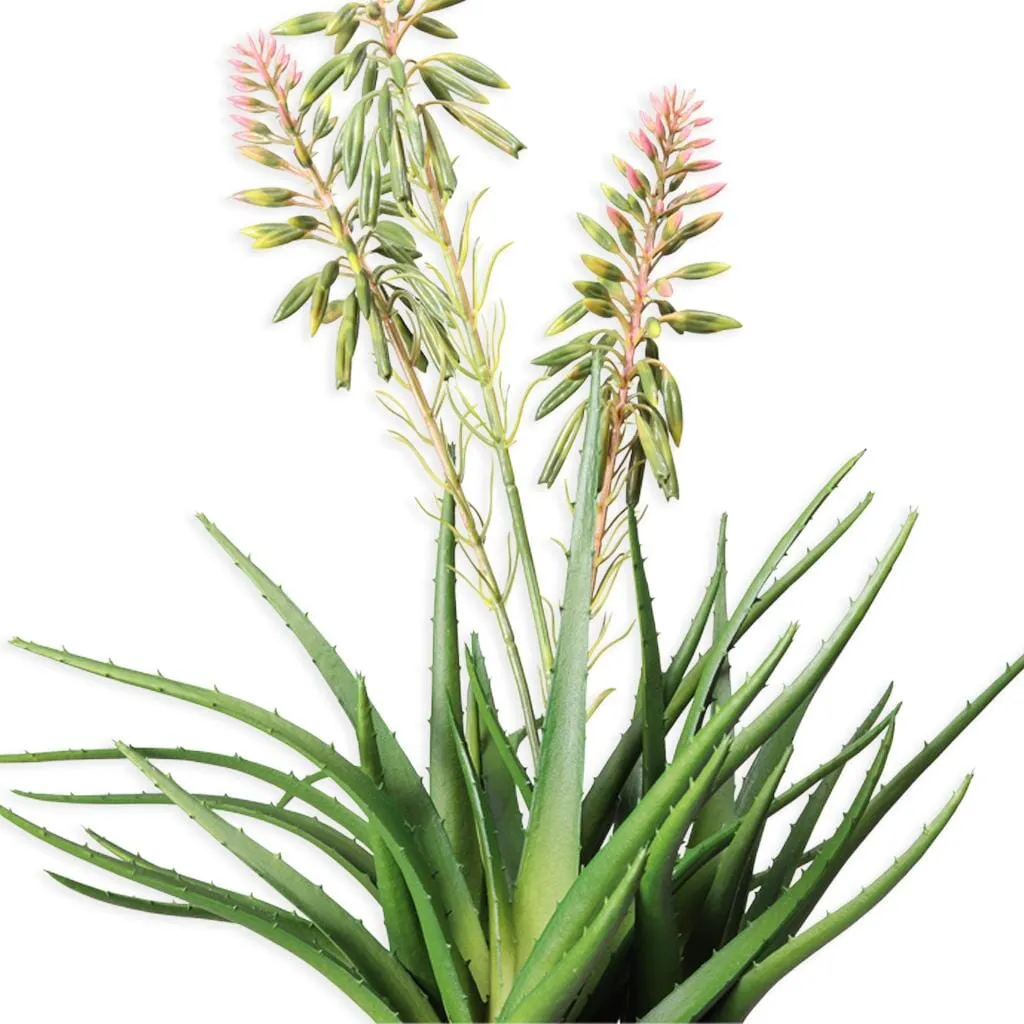 Faux Aloe Cooperi Plant - 51cm