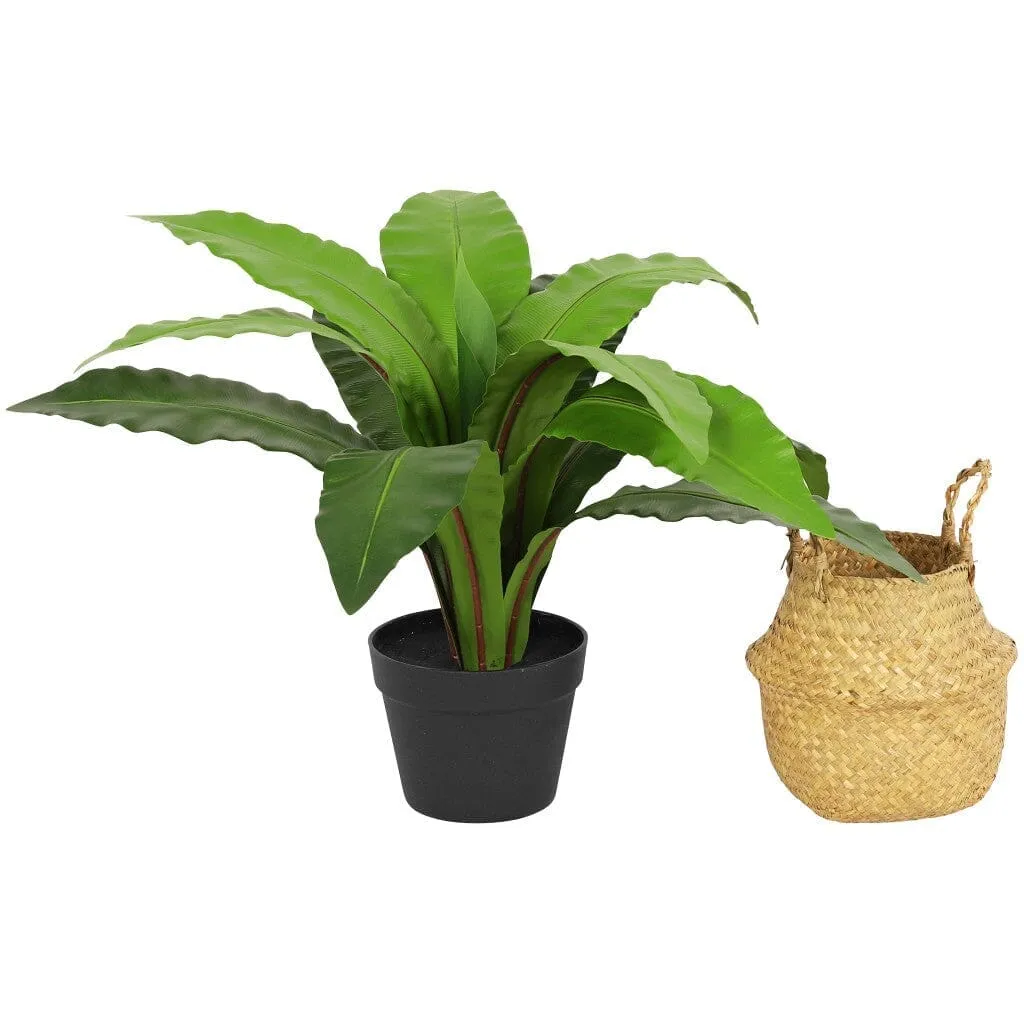 Faux Neottopteris Straw Basket - 65cm