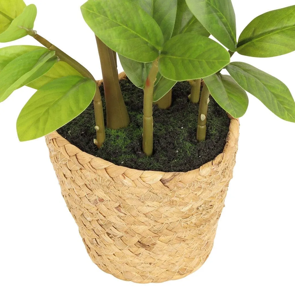 Faux Zamiifolia in Straw Basket - 45cm