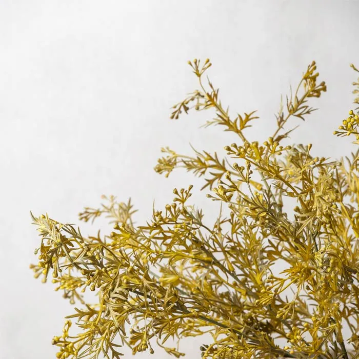 Flaxen Meadow Grass 48cm