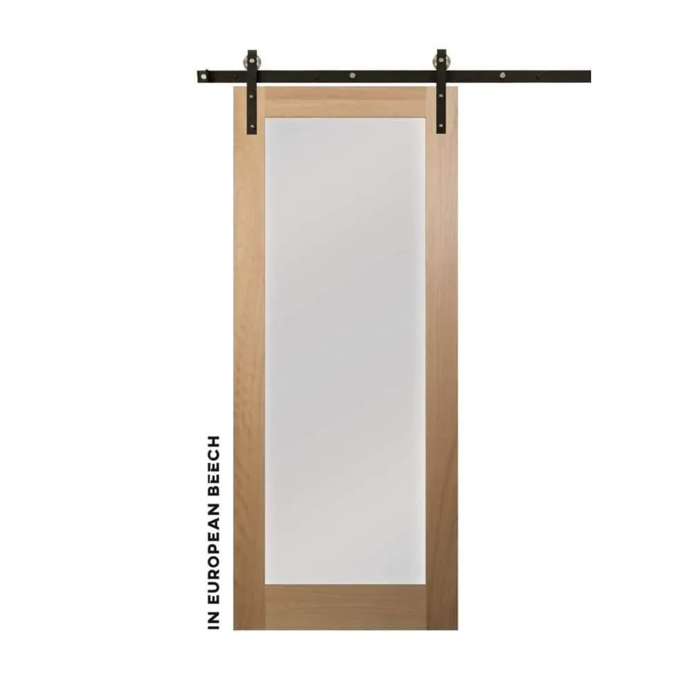 Modern Single Panel Sliding Glass Barn Door