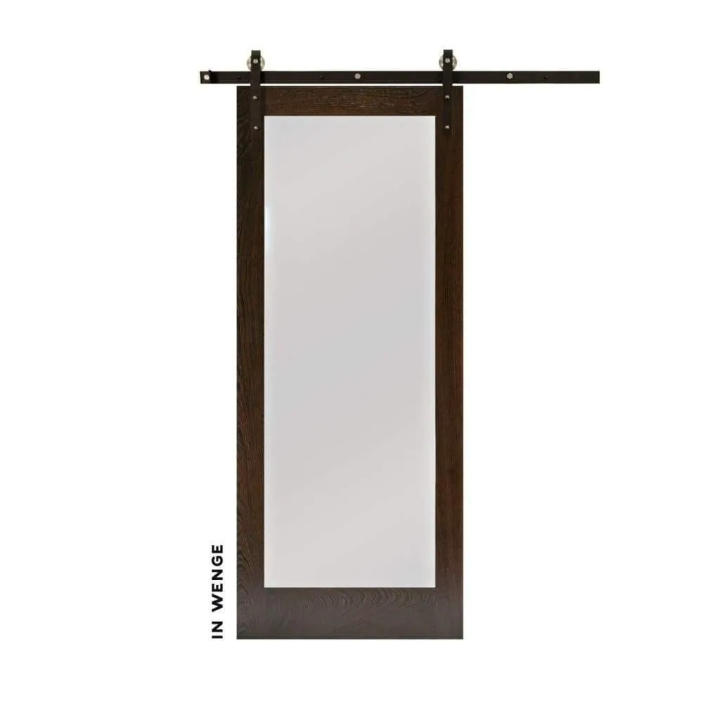 Modern Single Panel Sliding Glass Barn Door