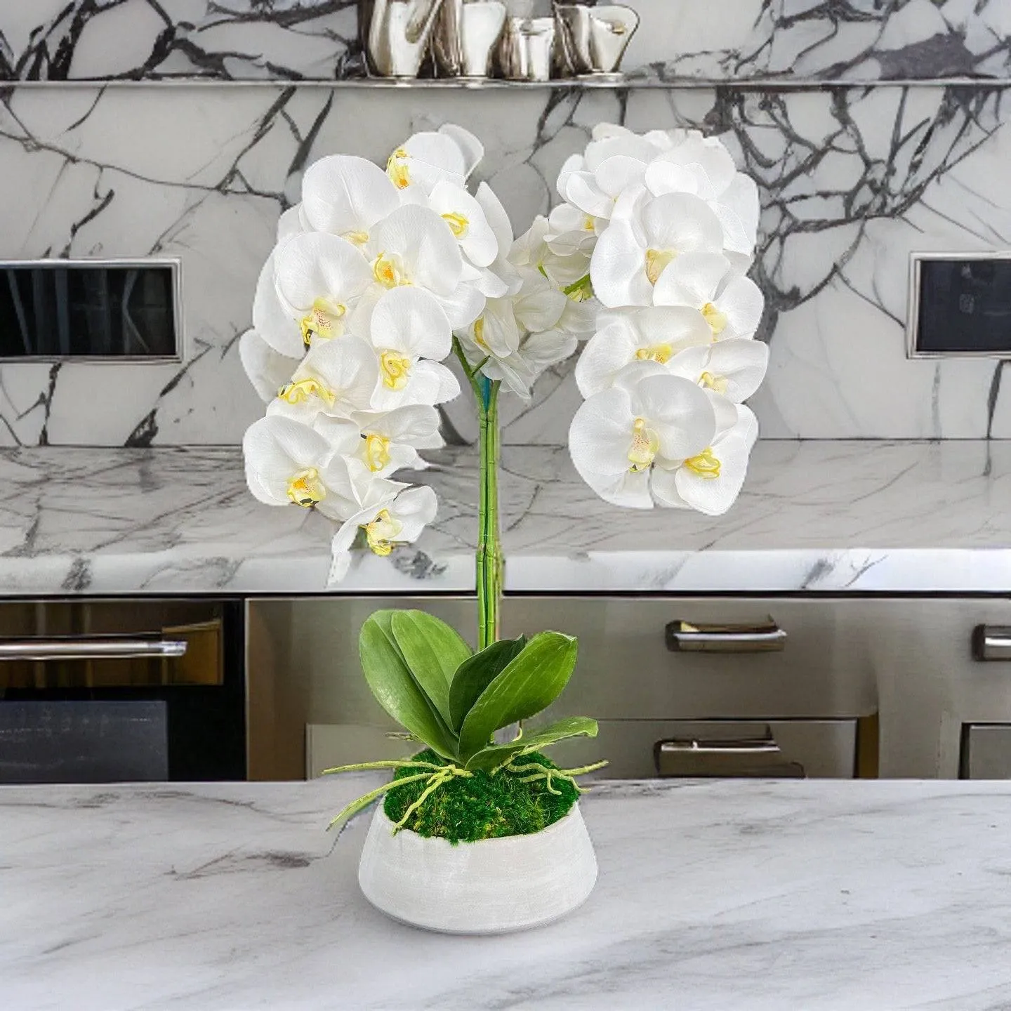 Orchid and Moss Centerpiece in Cement Bowl