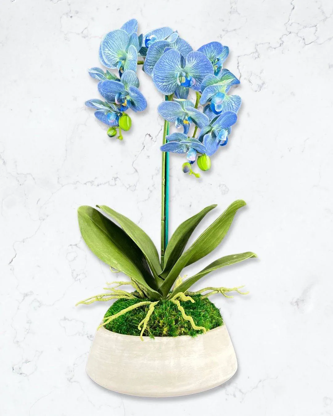 Orchid and Moss Centerpiece in Cement Bowl