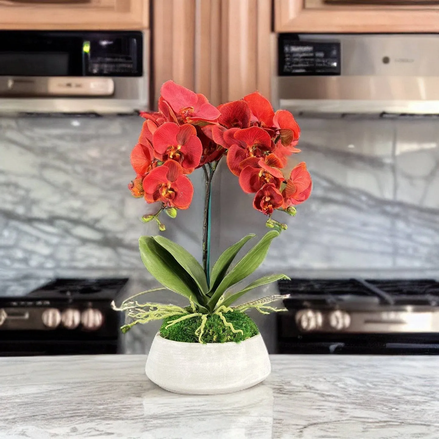 Orchid and Moss Centerpiece in Cement Bowl