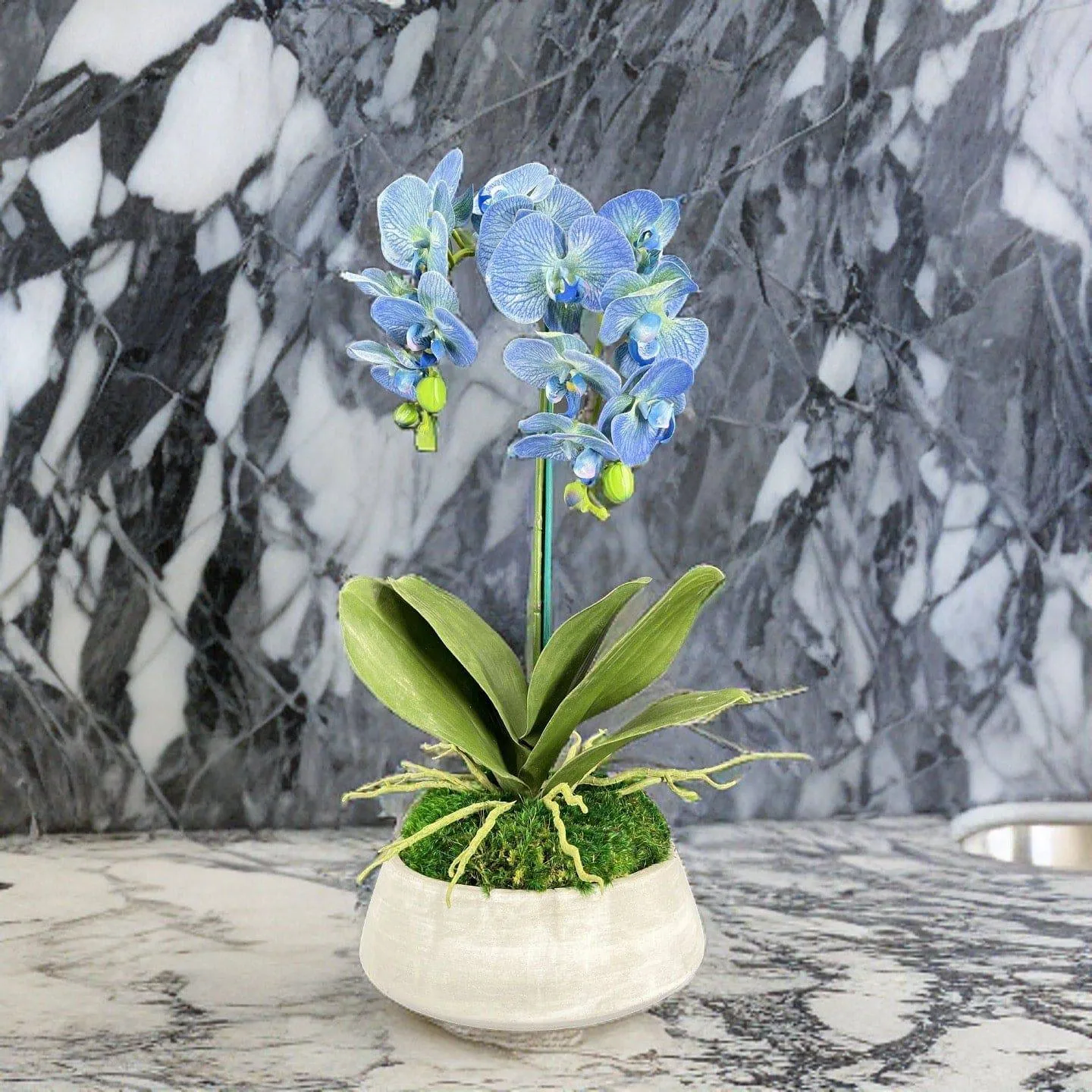Orchid and Moss Centerpiece in Cement Bowl