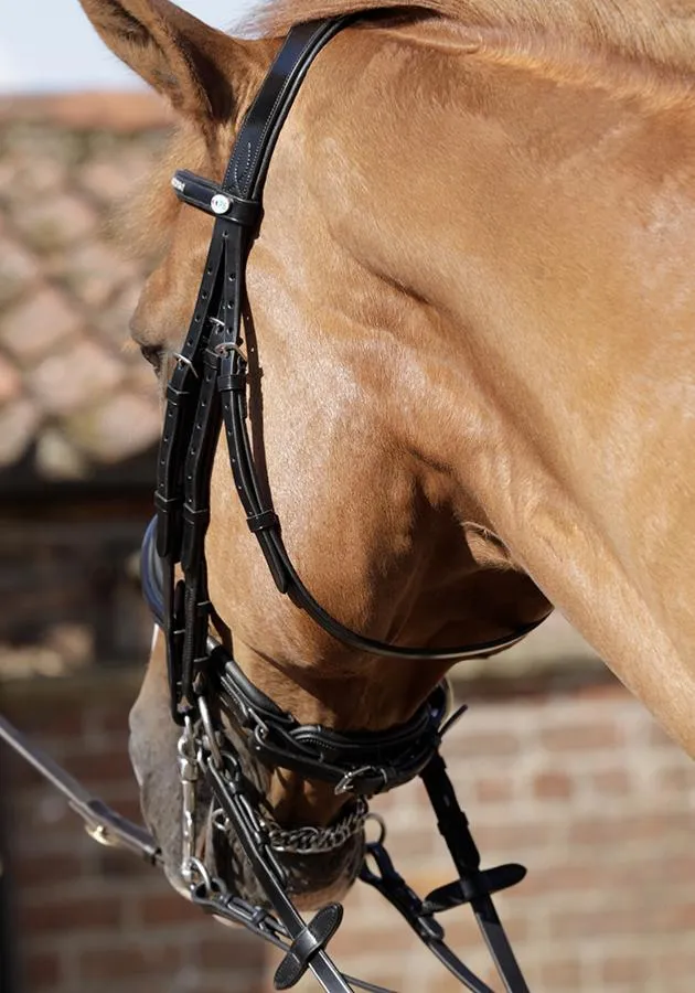PEI Abriano Anatomic Double Bridle