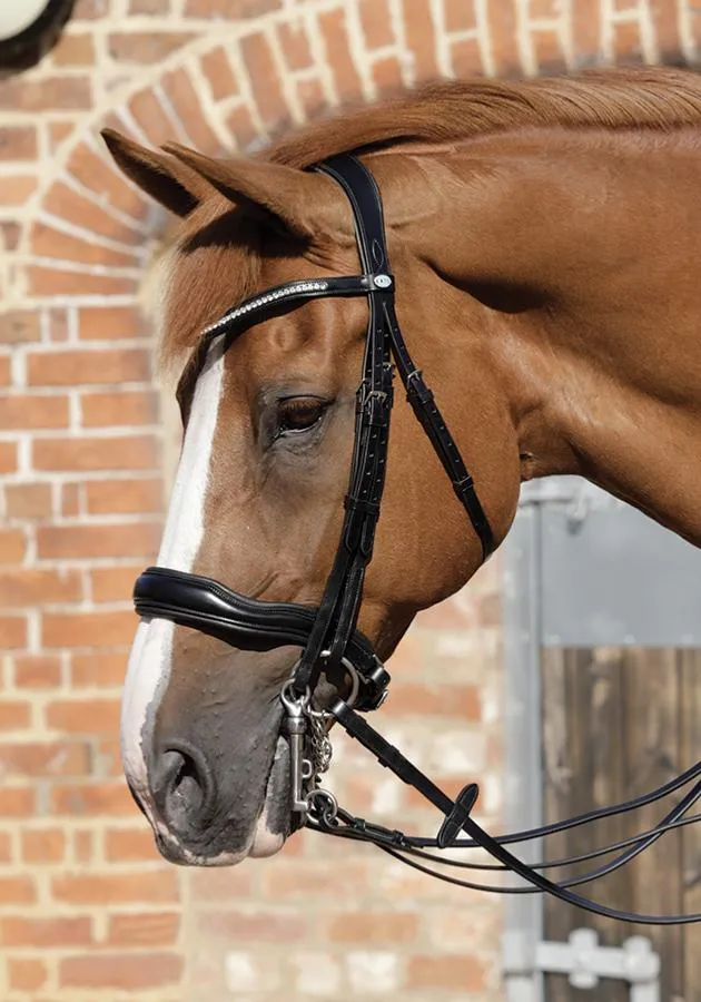 PEI Abriano Anatomic Double Bridle