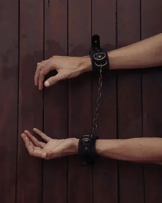 SVAKOM Real Leather BDSM